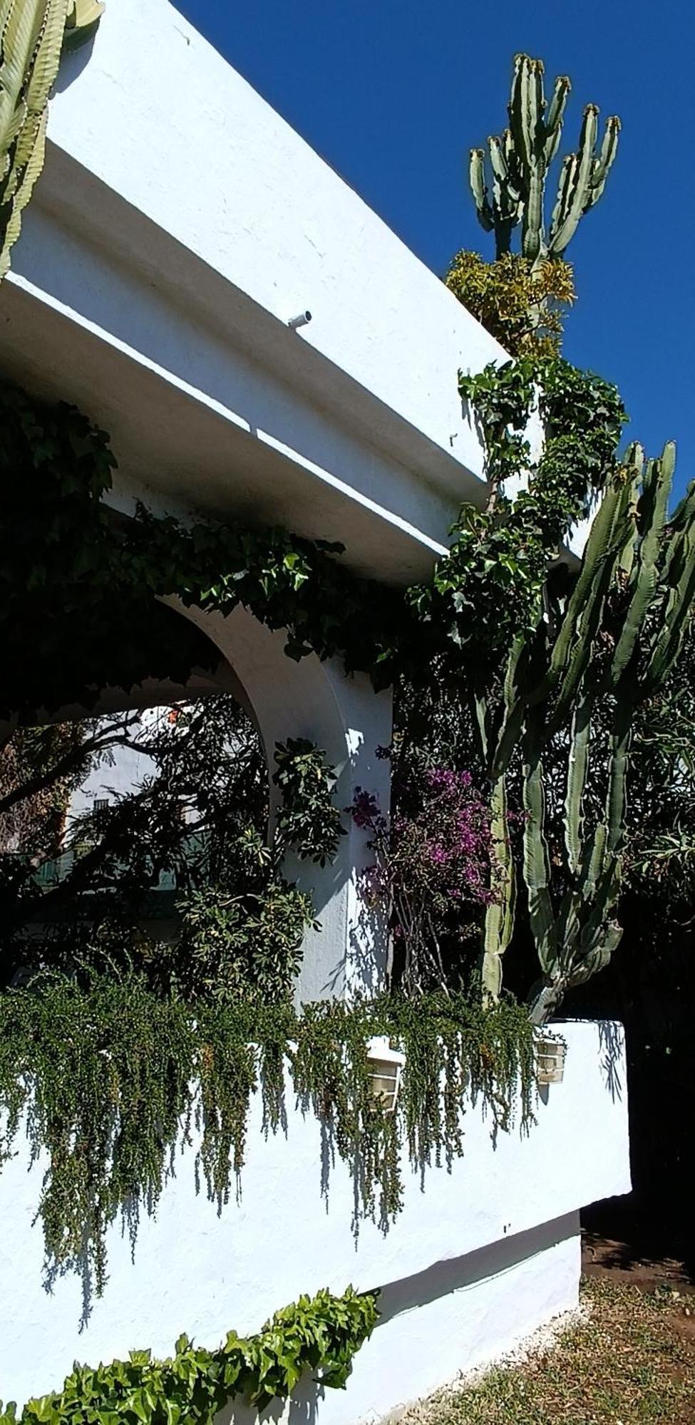 Villa Tortuga Marbella Exteriör bild