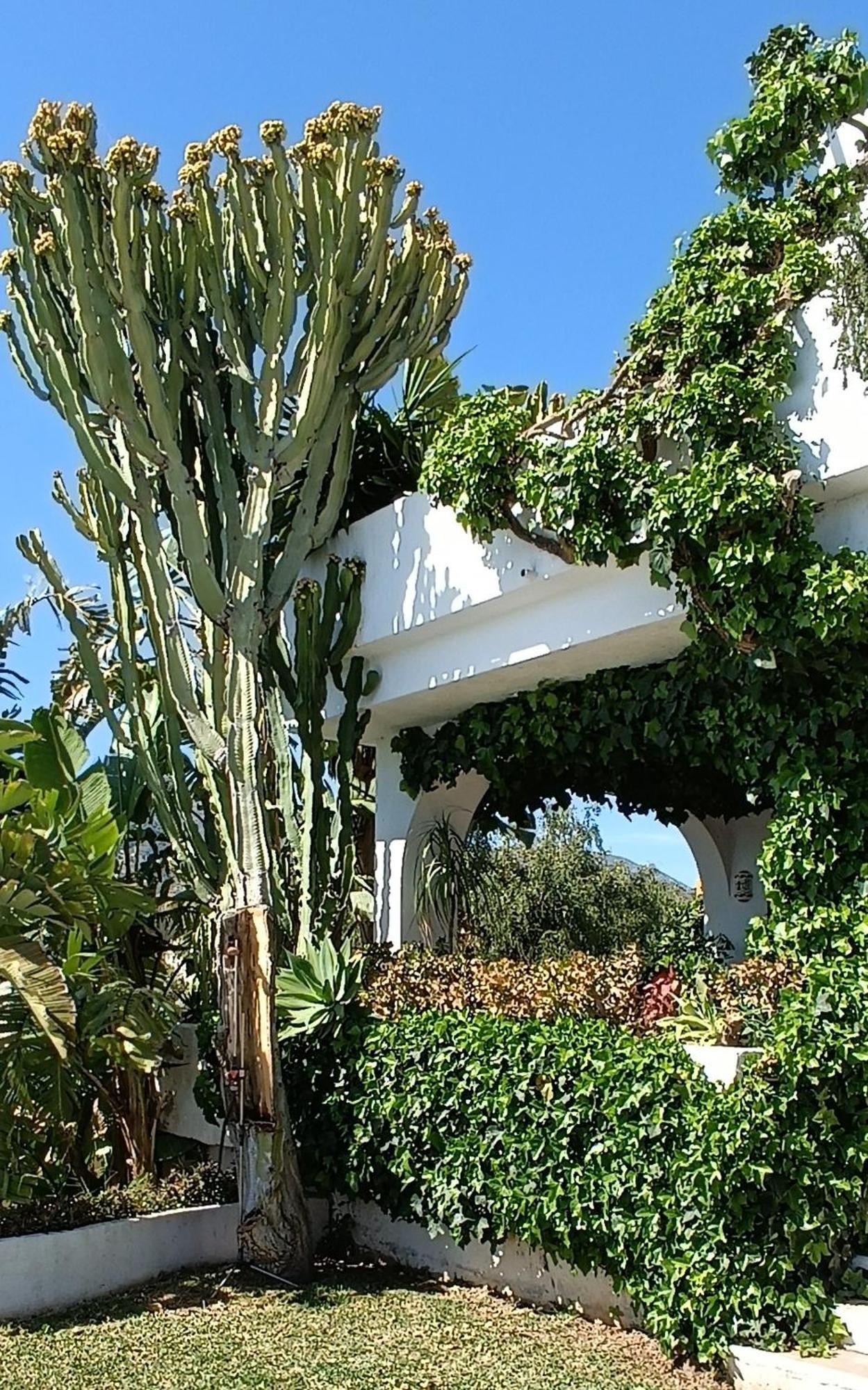 Villa Tortuga Marbella Exteriör bild